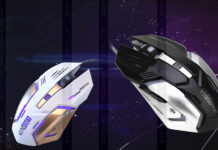 Factors That Affect Mouse’s Longevity