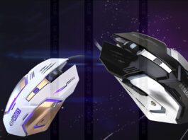 Factors That Affect Mouse’s Longevity