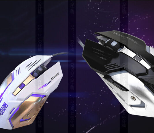 Factors That Affect Mouse’s Longevity